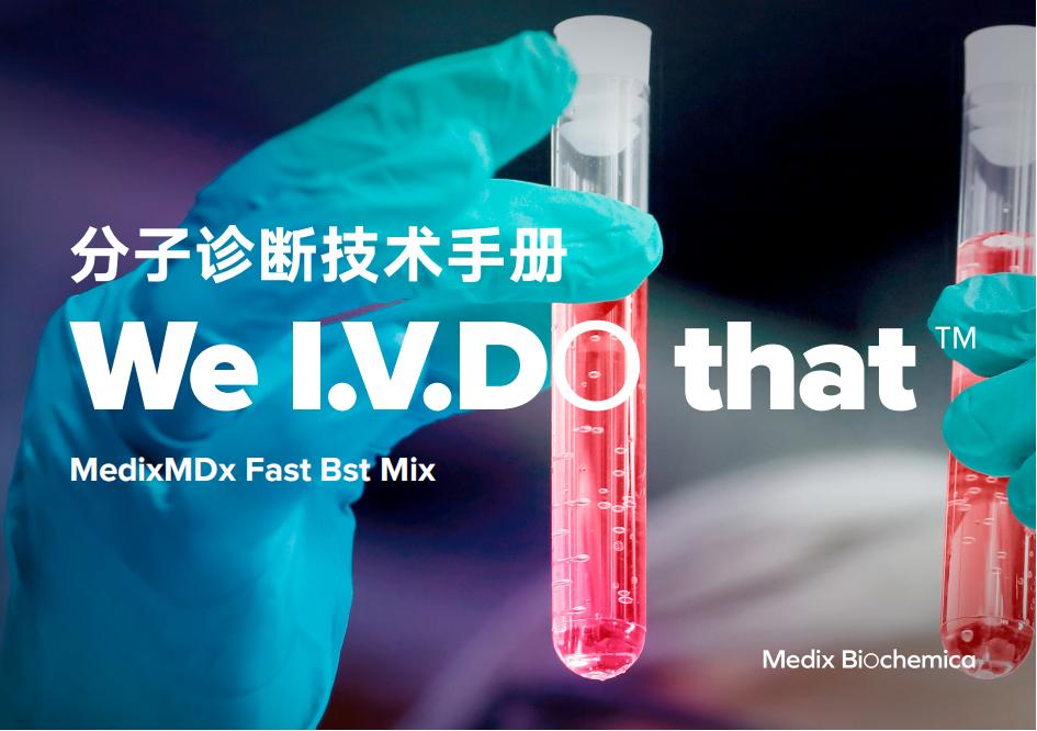 Bst技術(shù)手冊